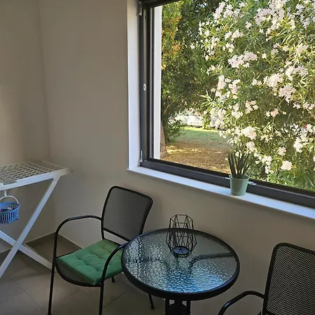 Laurus * 마카르스카