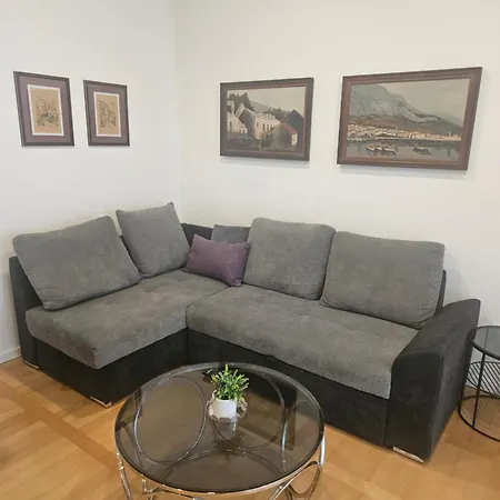 Laurus 马卡尔斯卡